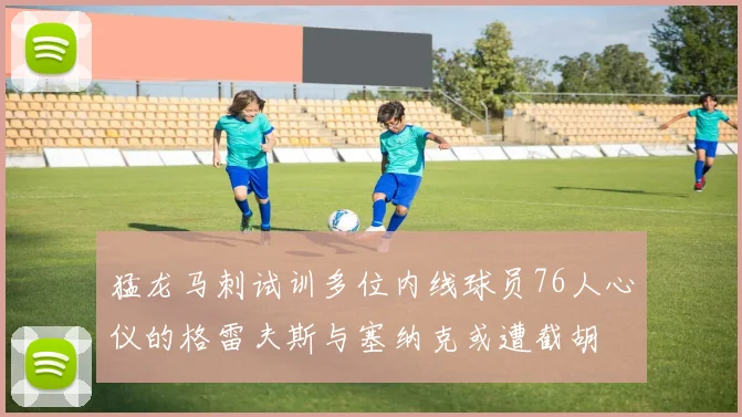 猛龙马刺试训多位内线球员76人心仪的格雷夫斯与塞纳克或遭截胡
