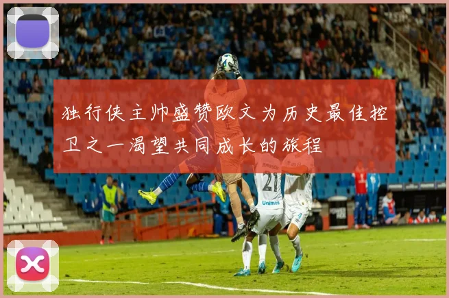 独行侠主帅盛赞欧文为历史最佳控卫之一渴望共同成长的旅程